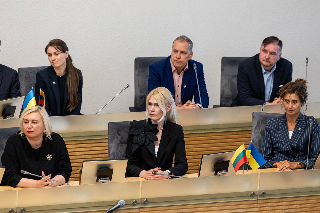 Balsavimas dėl Linos Petronienės paskyrimo į VRK pirmininkus