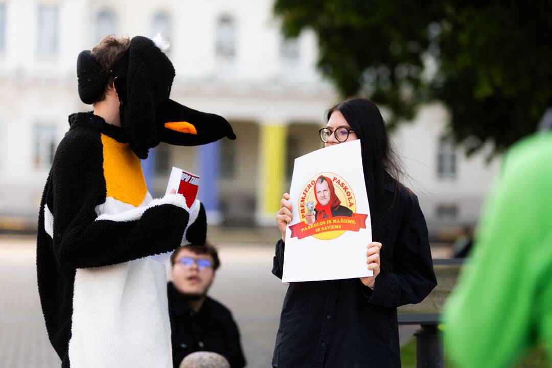 Jaunųjų konservatorių lygos protestas „Gintautai, rinkis: valstybė ar įmonė“