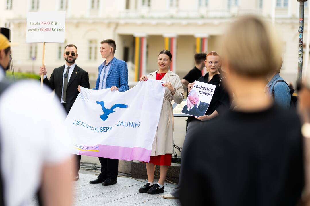 Jaunųjų konservatorių lygos protestas „Gintautai, rinkis: valstybė ar įmonė“