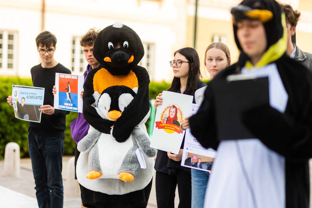Jaunųjų konservatorių lygos protestas „Gintautai, rinkis: valstybė ar įmonė“