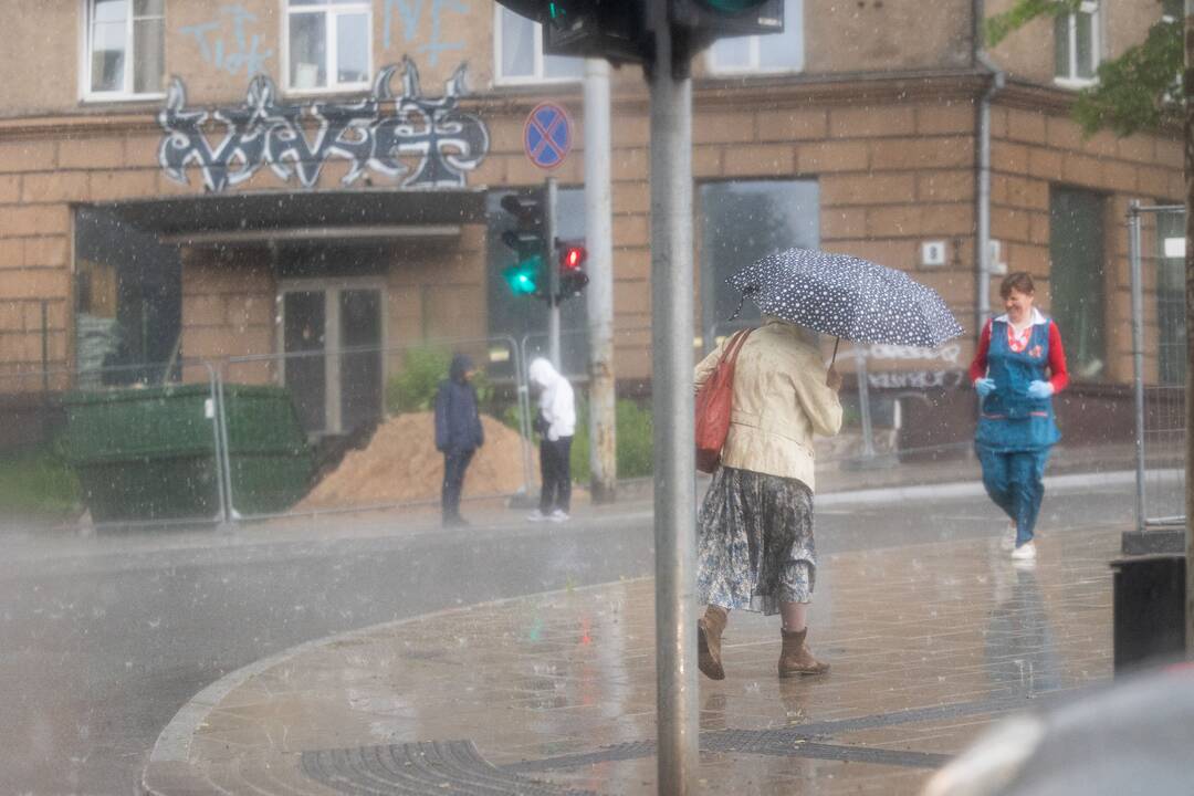 Trumpa liūtis Vilniuje