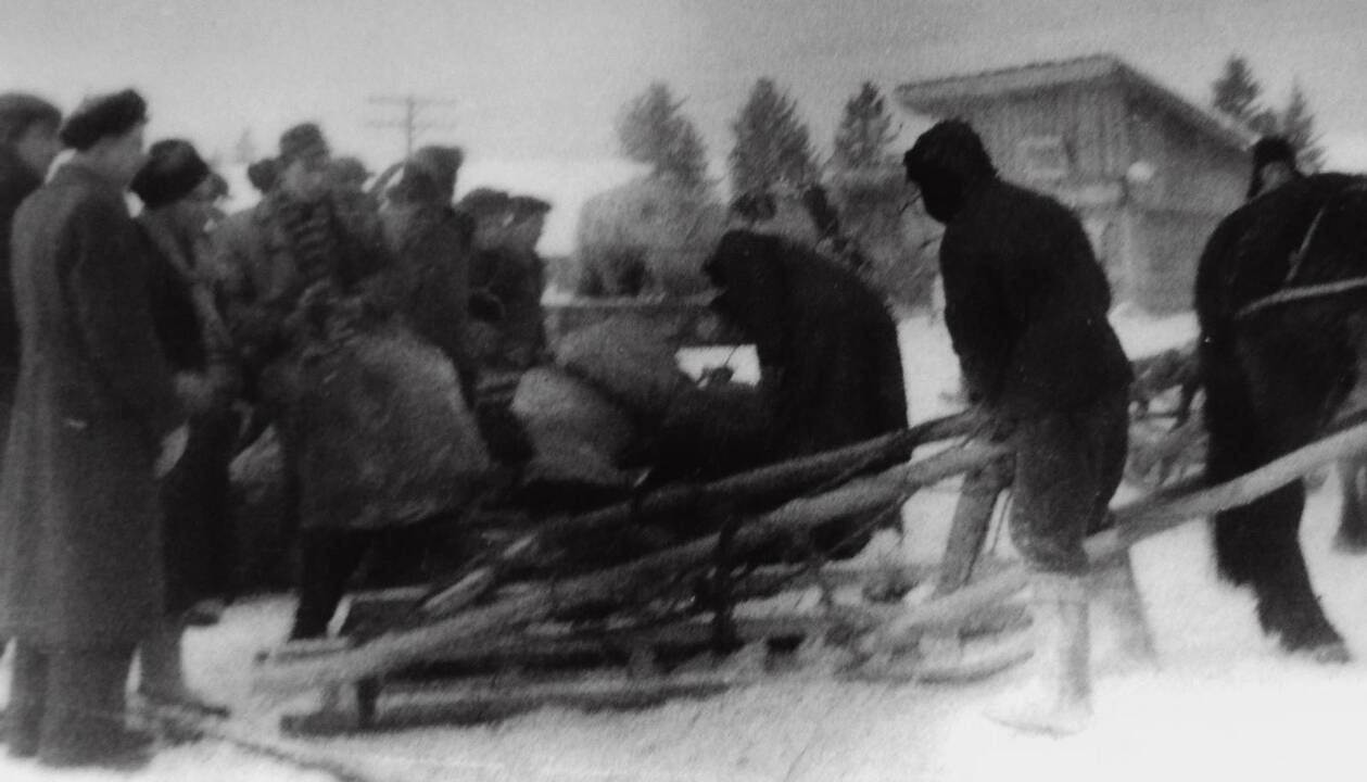 Daursko rajonas, Krasnojarsko kraštas, apie 1956 m.