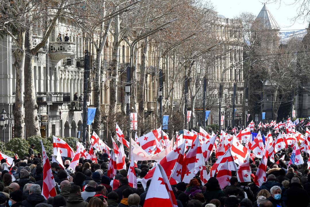 Sakartvele tęsiasi protestai prieš opozicijos lyderio areštą
