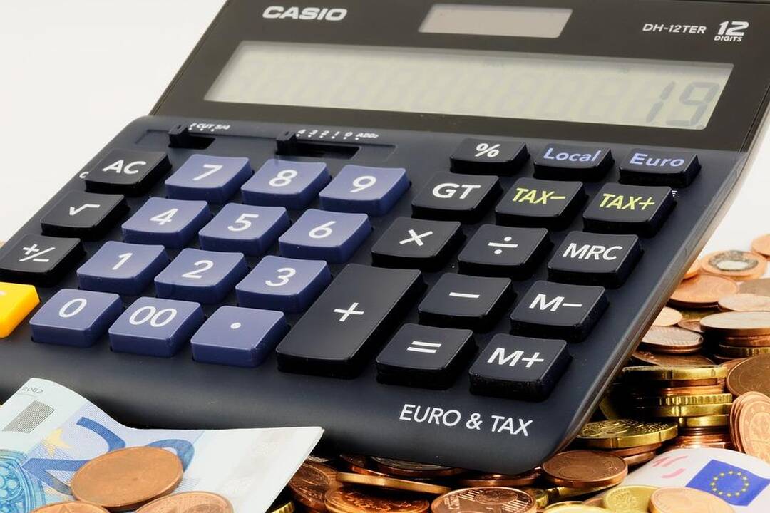 Ministras: optimizmas dėl ekonomikos yra labai santūrus