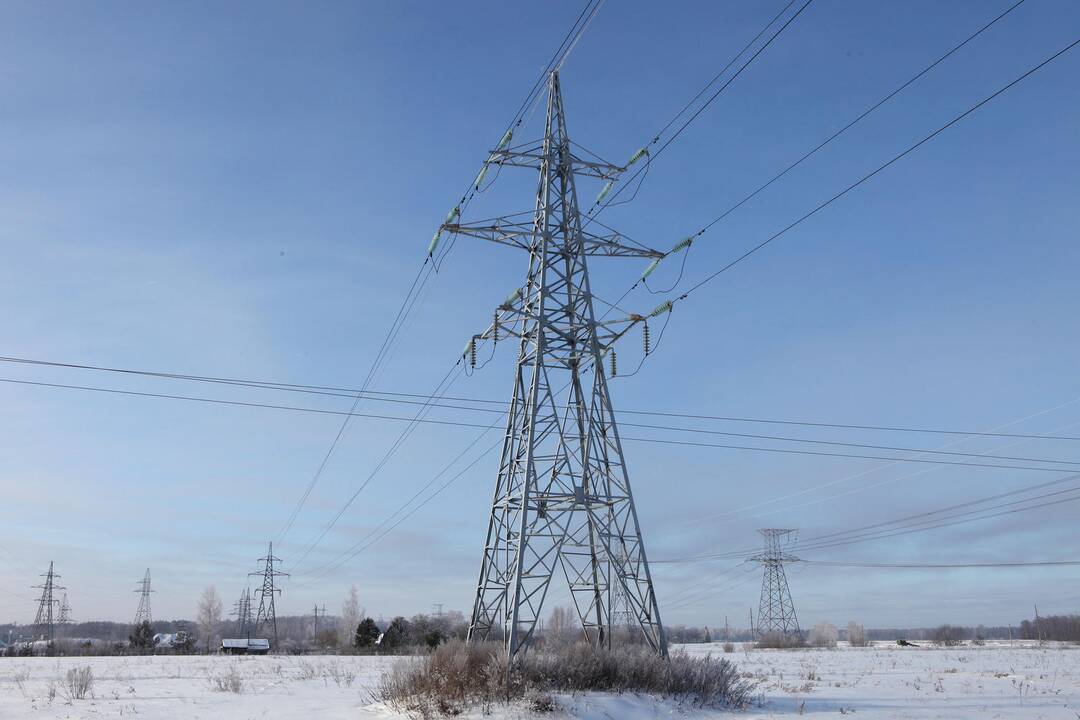 Šalti orai sausį išaugino elektros kainas