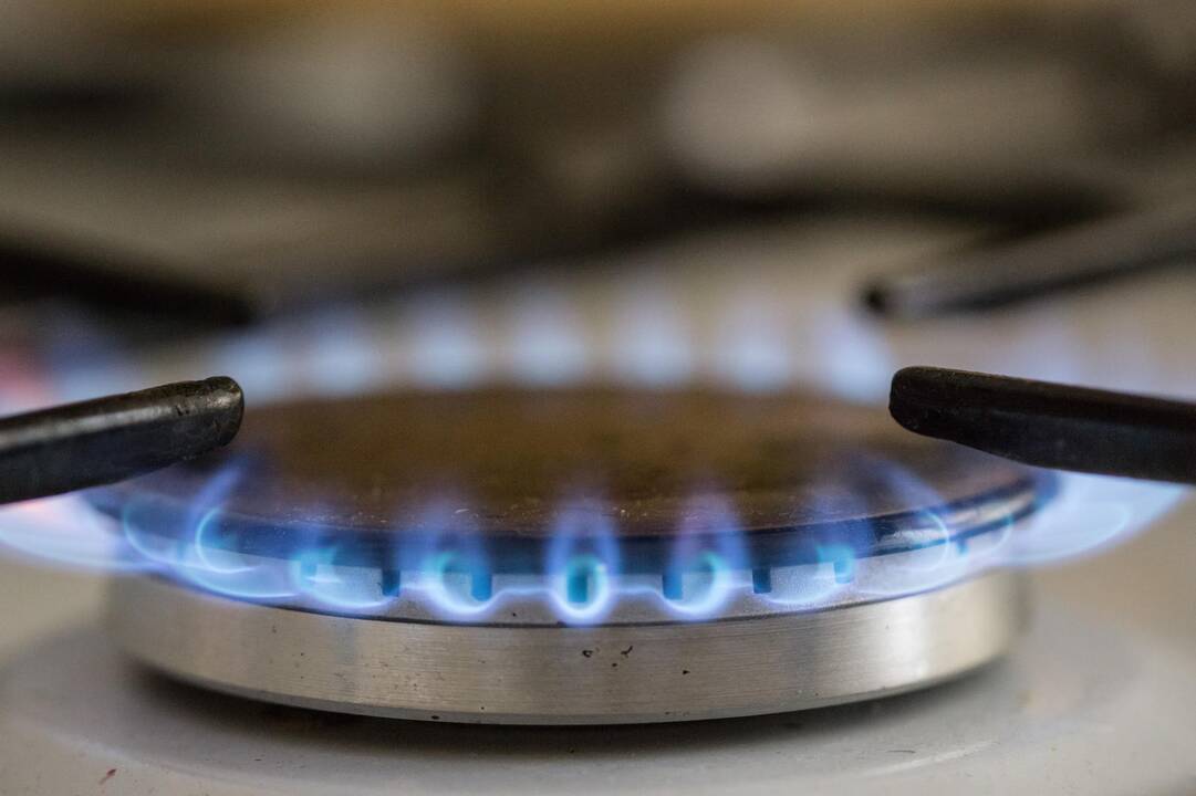 LEA: dujos gruodį TTF pigo 18 proc., Lietuvoje mažėjo degalų, bet augo biokuro kainos
