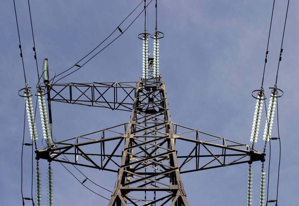 Dėl šalčių išaugo elektros kainos