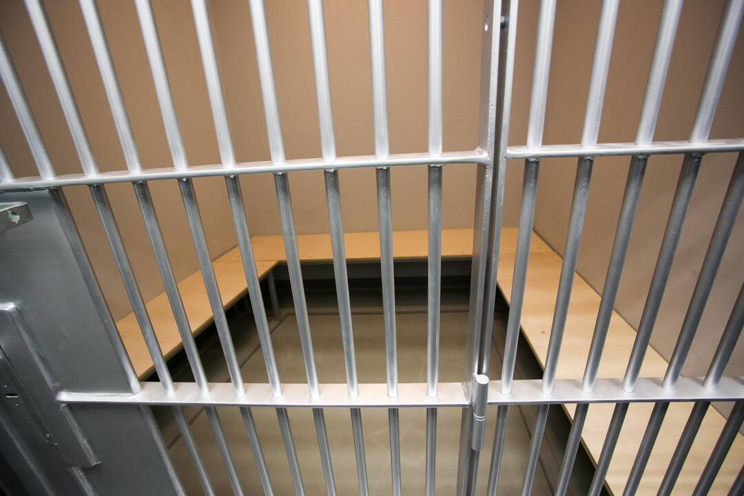Įkaušęs Alytaus konservatorius pakėlė ranką prieš sugyventinę