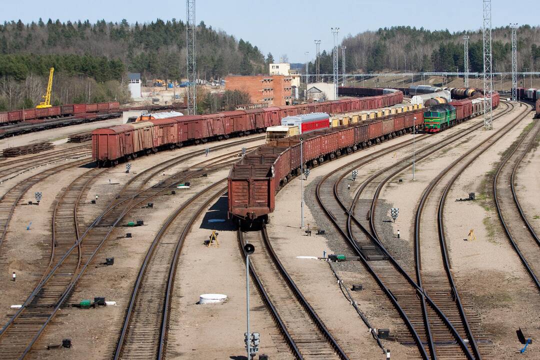 Lietuvos eksportas pirmąjį pusmetį padidėjo 17,7 proc., importas – 16,6 proc.