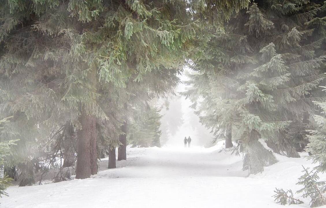 Šalčiai Lenkijoje nusinešė dar šešias gyvybes