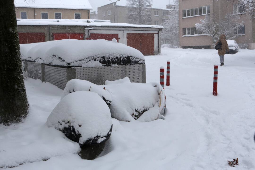 Problema: gyventojai ir vėl skundžiasi, kad vidiniuose kiemuose esantys konteineriai užversti šiukšlių kalnais.