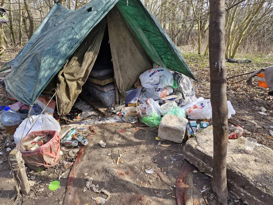 Vaizdas: miškelis, kuriame apsigyveno benamis, pamažu tampa sąvartynu.