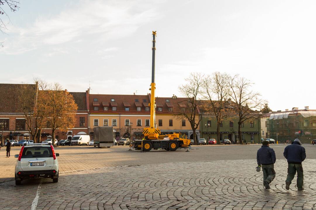 Pradėta montuoti Kauno Kalėdų eglė