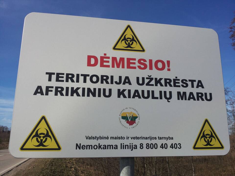 Prienų rajone – afrikinio kiaulių maro atvejai