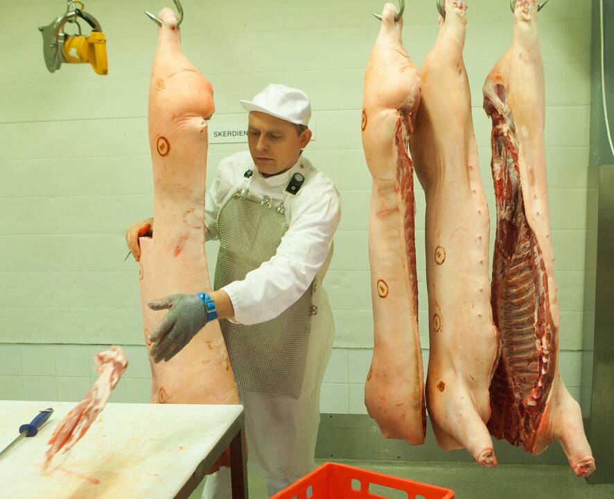 Augo vidutinė kiaulių skerdenų supirkimo kaina 