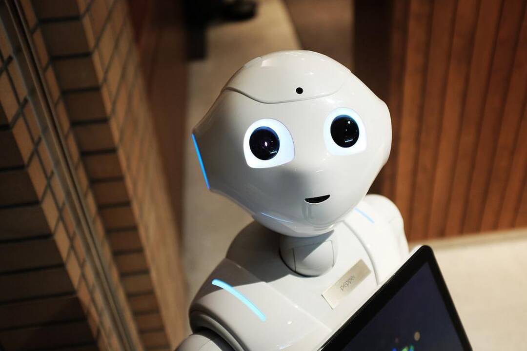 Susisiekimo ministerijoje dirbs robotai