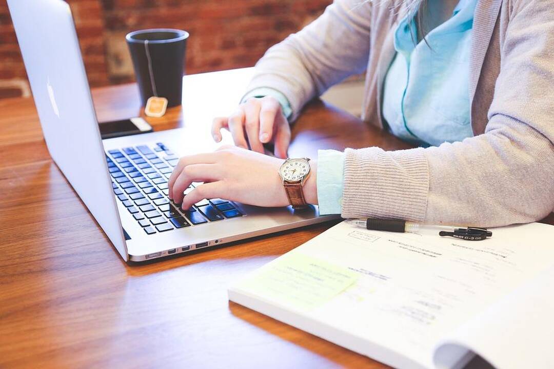 Startuolių vizas jau gavo 25 bendrovės