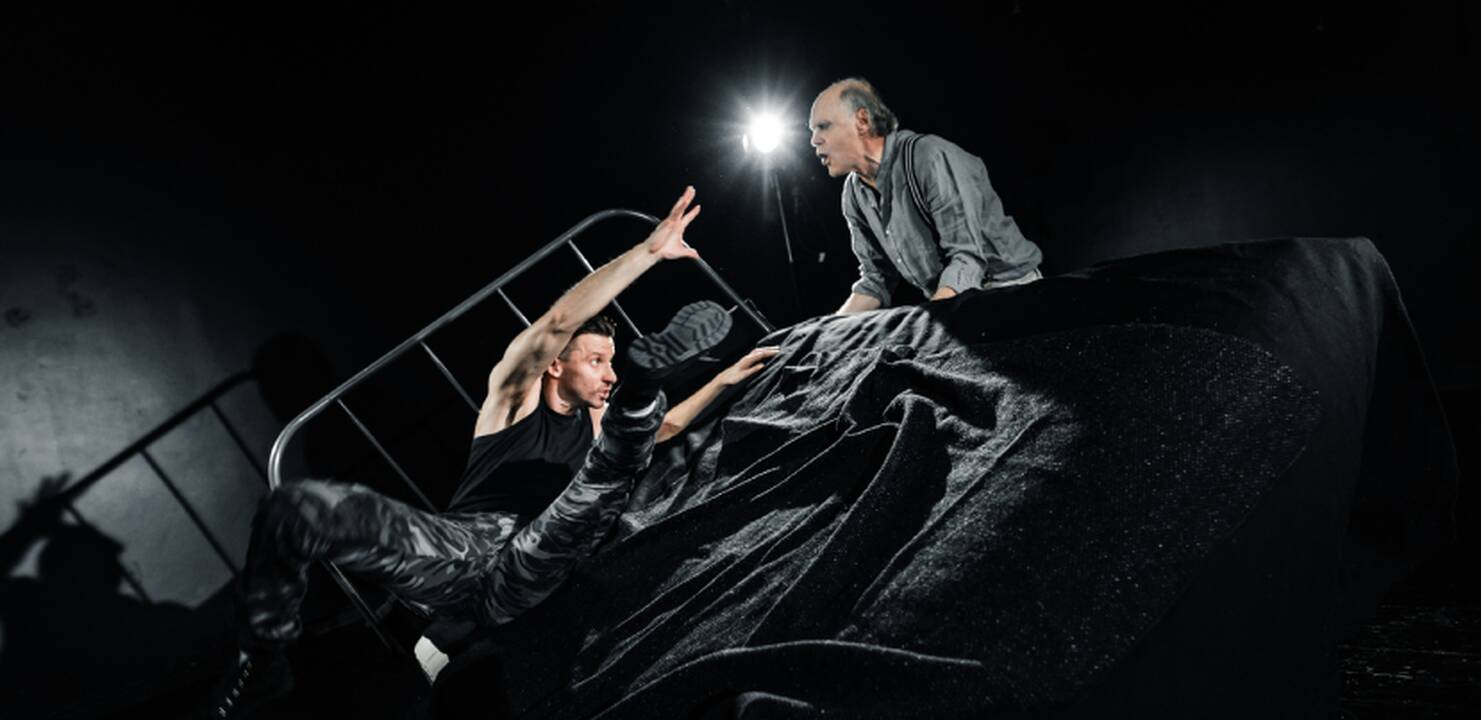 Scena iš spektaklio „Kai kurios erelių rūšys“ (rež. I. Reklaitis)