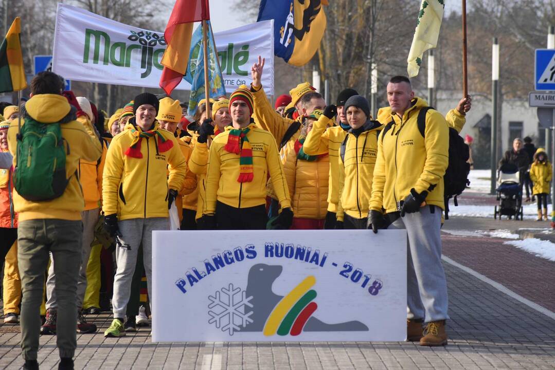 Sveikuoliai paniro į Baltijos jūrą