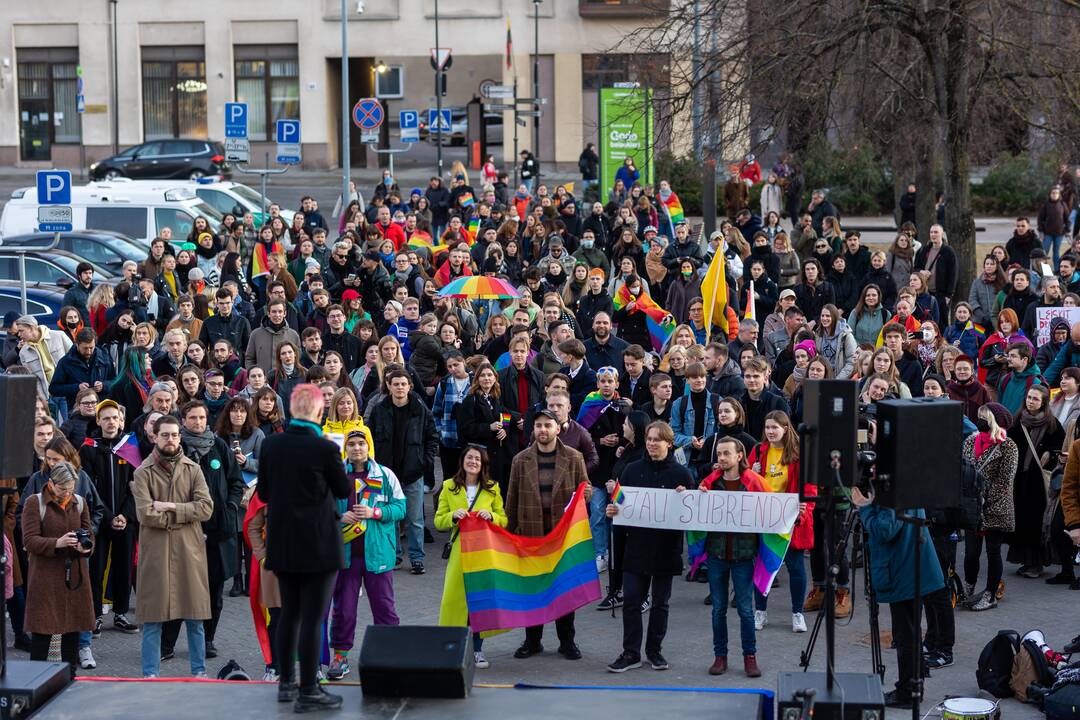 Mitingas „Už partnerystę ir lygybę visiems Lietuvoje!“