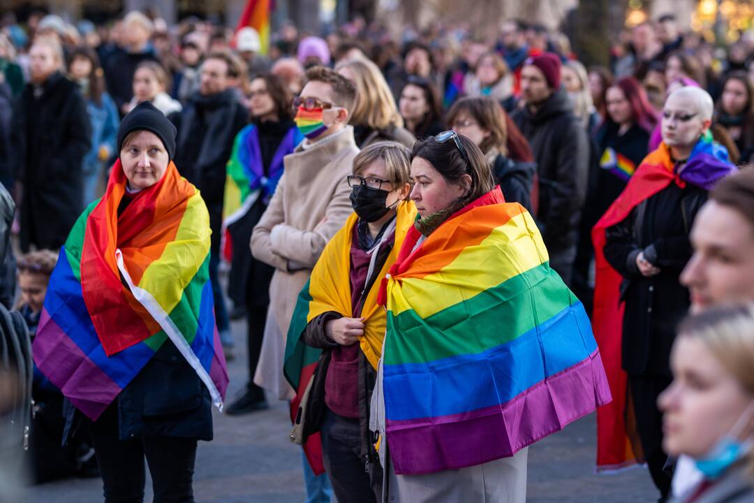 Mitingas „Už partnerystę ir lygybę visiems Lietuvoje!“