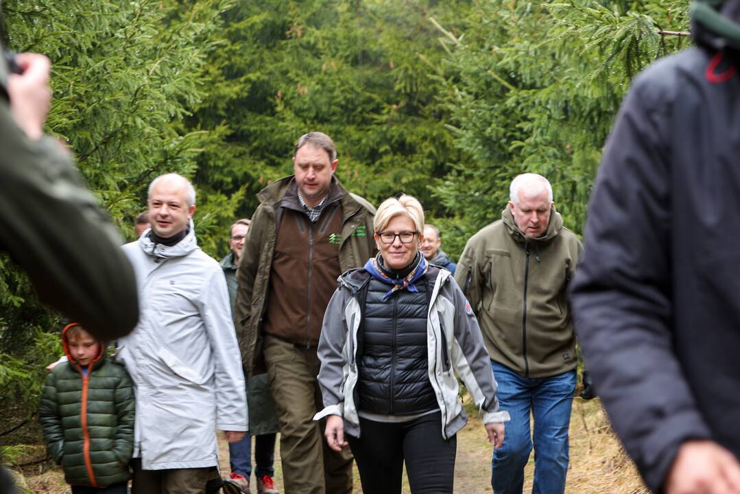 Nacionalinis miškasodis sutelkė gamtos mylėtojus