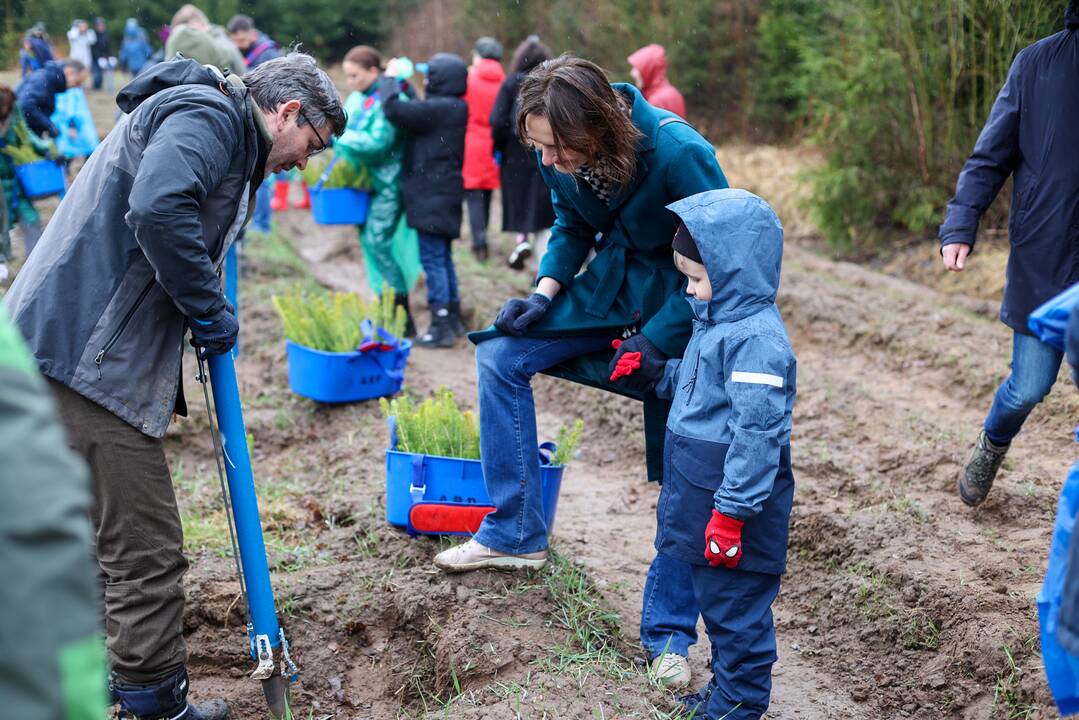 Nacionalinis miškasodis sutelkė gamtos mylėtojus