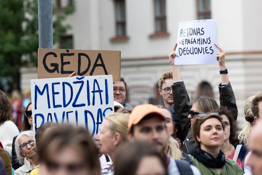 Protestas del medžių J. Basanavičiaus gatvėje