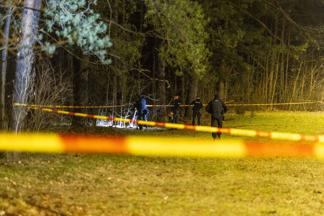 Vilniuje užpultas A. Navalno bendražygis L. Volkovas