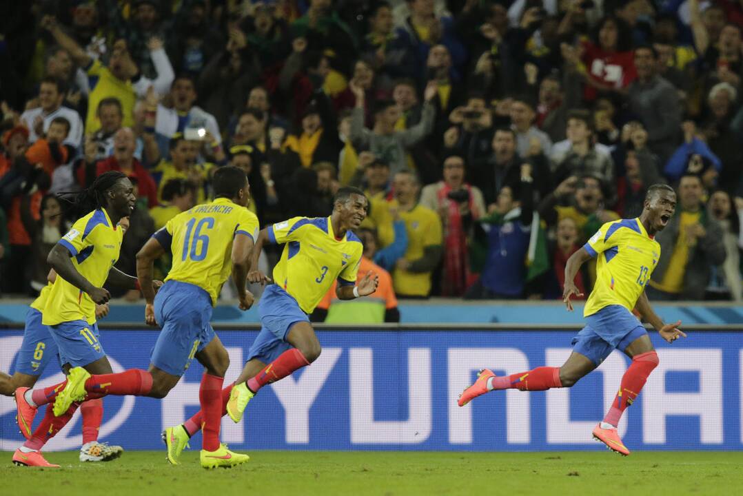 Pasaulio futbolo čempionatas: Ekvadoras - Hondūras