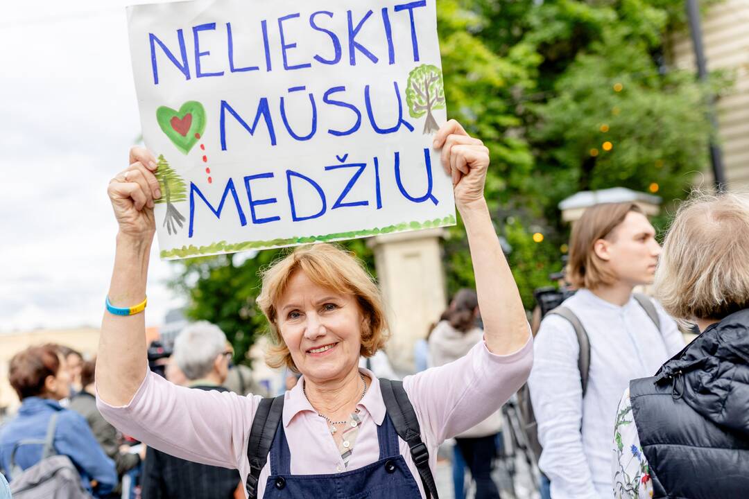 Protestas del medžių J. Basanavičiaus gatvėje