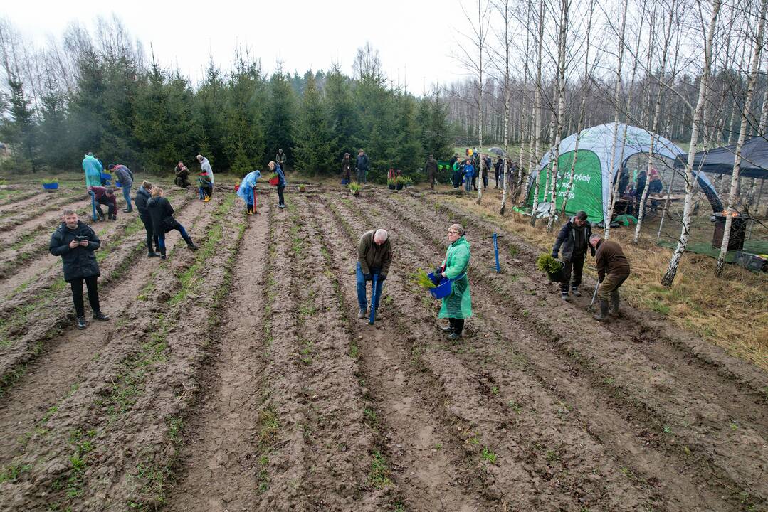 Nacionalinis miškasodis sutelkė gamtos mylėtojus