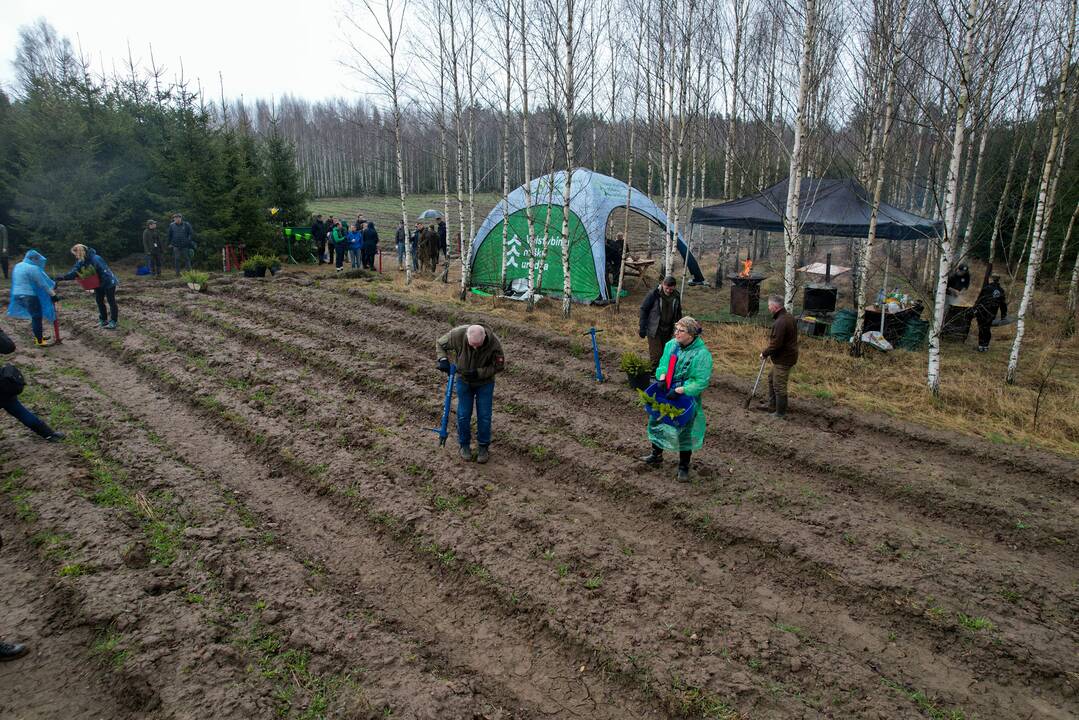 Nacionalinis miškasodis sutelkė gamtos mylėtojus
