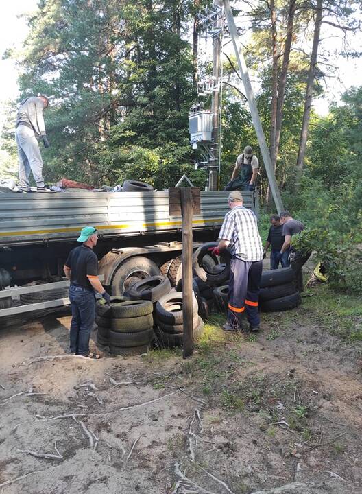 Lietuvoje įvyko talka „Miško kuopa“