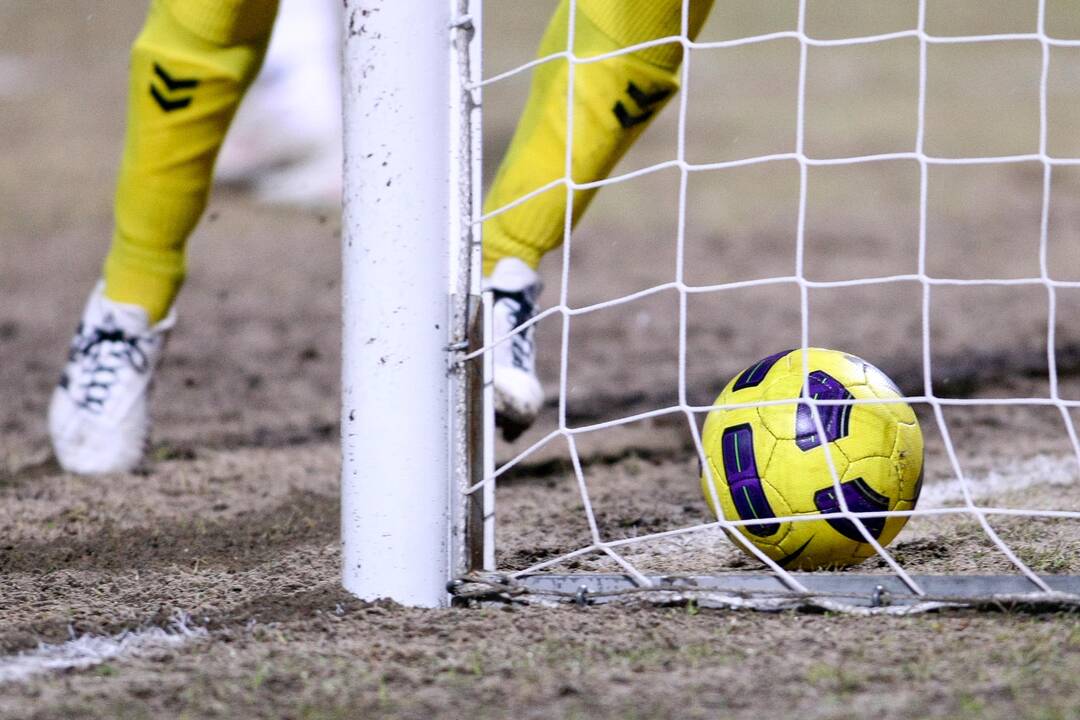 Lietuvos futbolo A lygos licencijas gavo 12 klubų