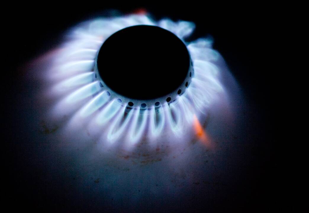 Politologas: pirkti dujas iš „Gazprom“ gali būti rizikinga