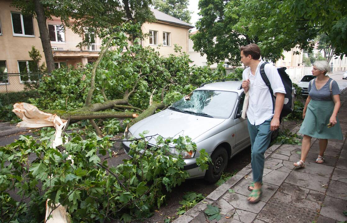 Ugniagesiai dėl stipraus vėjo 11 kartų vyko šalinti medžių