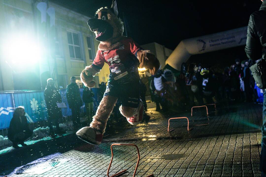  „LTeam olimpinis žiemos festivalis“