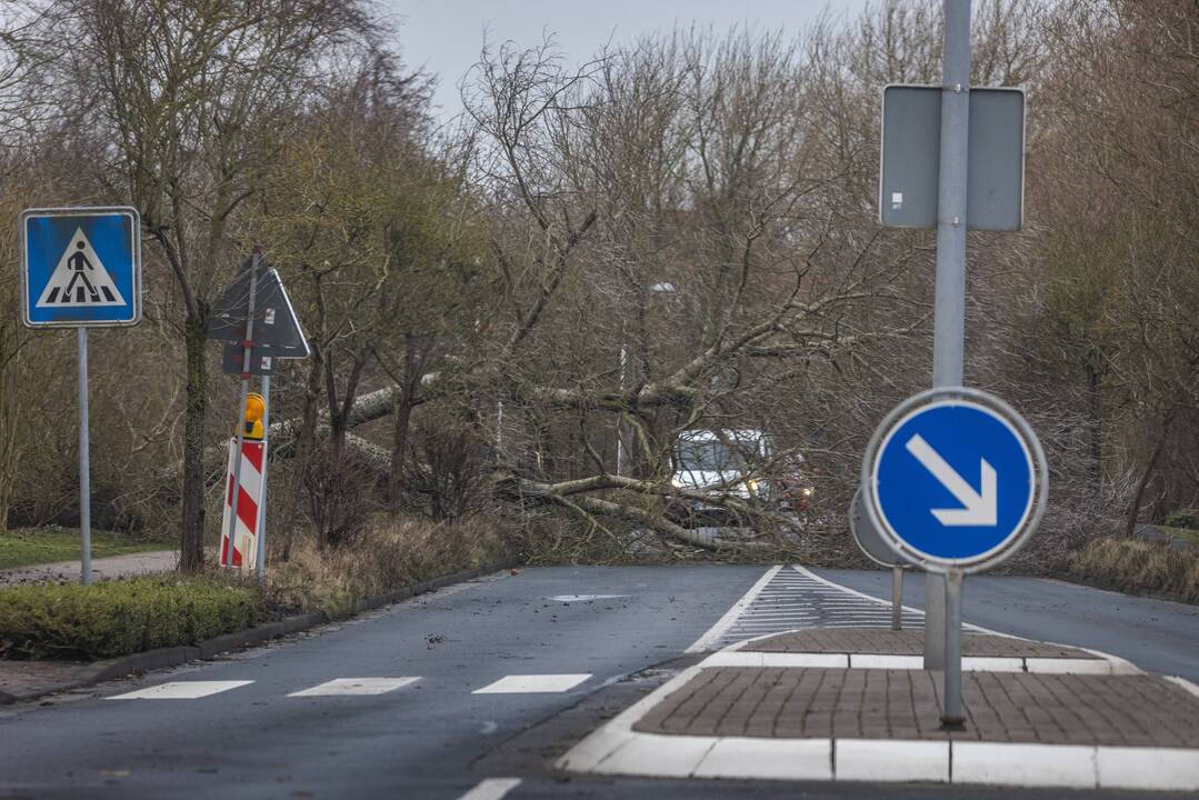 Europoje siaučia smarki audra „Eunice“ 