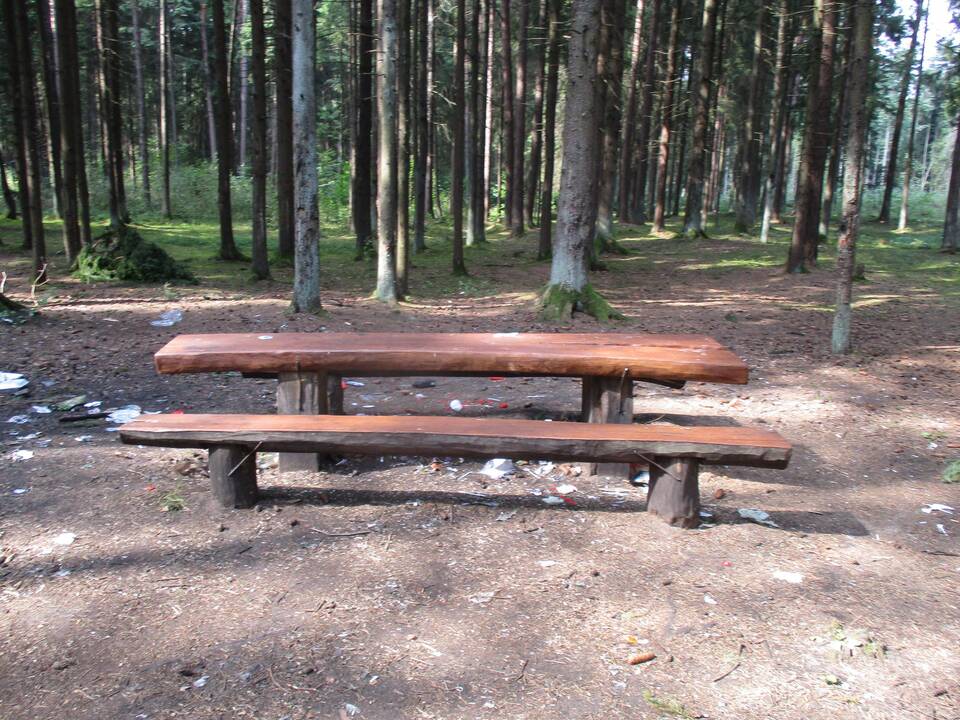 Permainos Kleboniškio parke