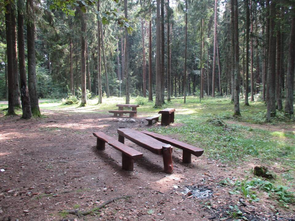 Permainos Kleboniškio parke