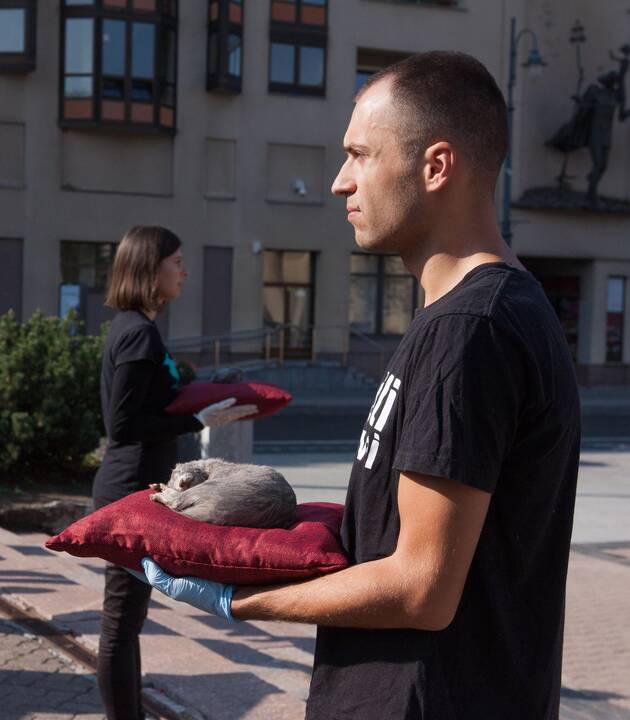 Protestas prie Seimo