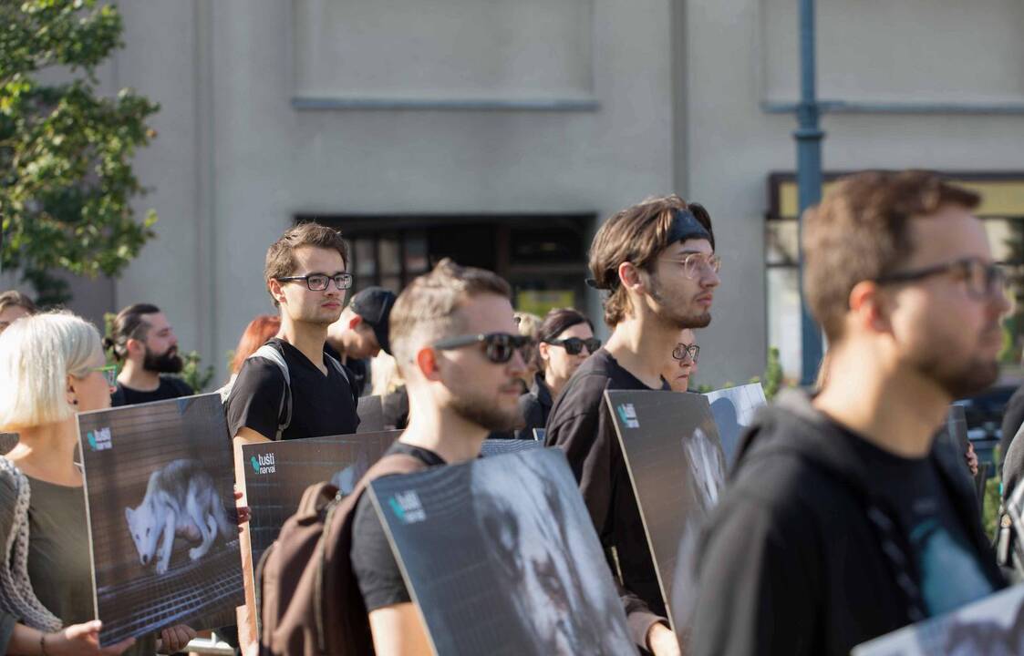 Protestas prie Seimo