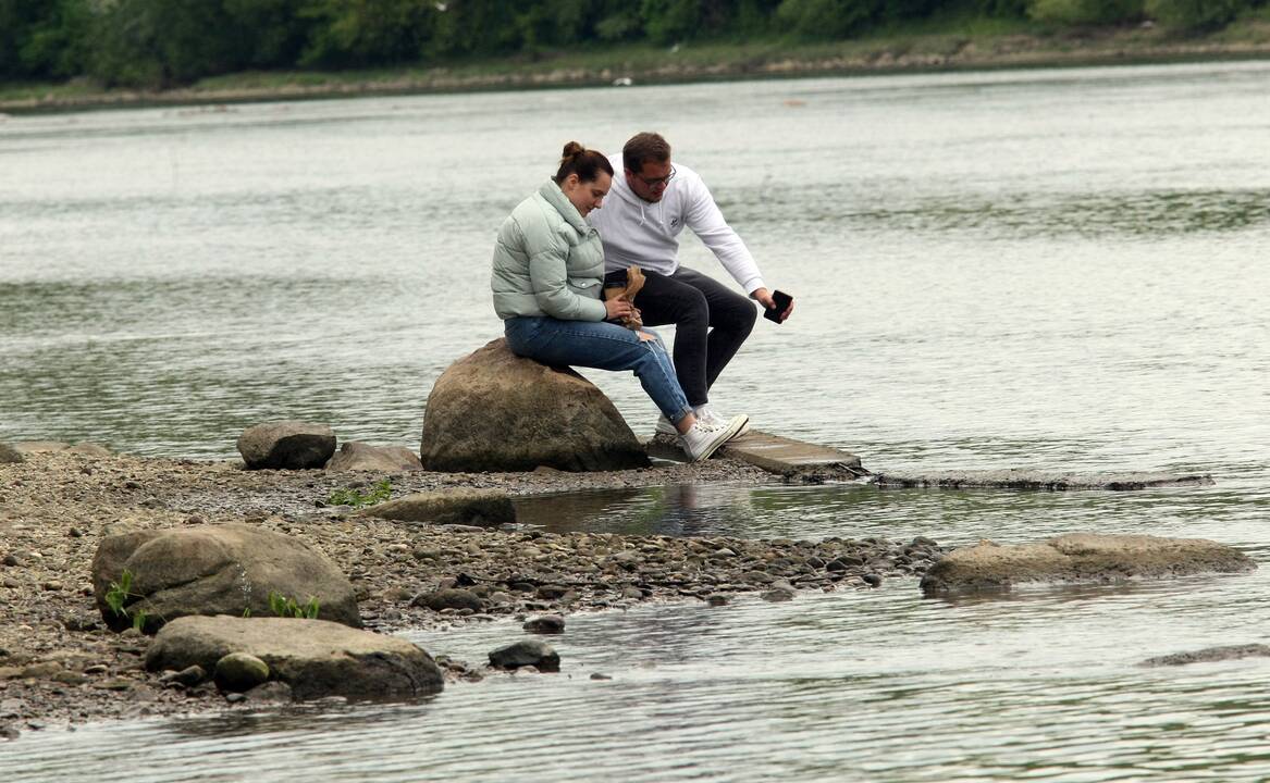 Bendruomeninis plaukimas „Švęskime upę“  