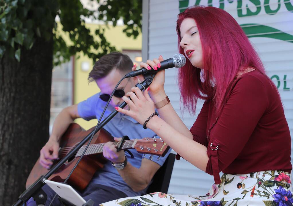 Gatvės muzikos diena Vilniuje