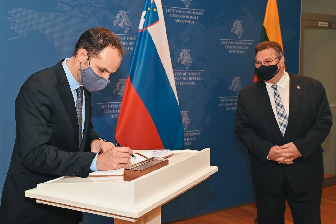 Anže Logaras ir Linas Linkevičius