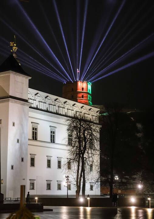 Vilnius švenčia 698-ąjį gimtadienį