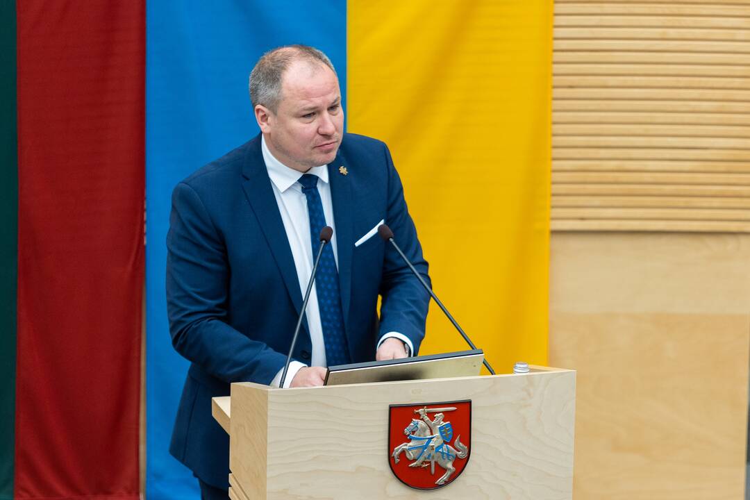 Radvilė Morkūnaitė-Mikulėnienė