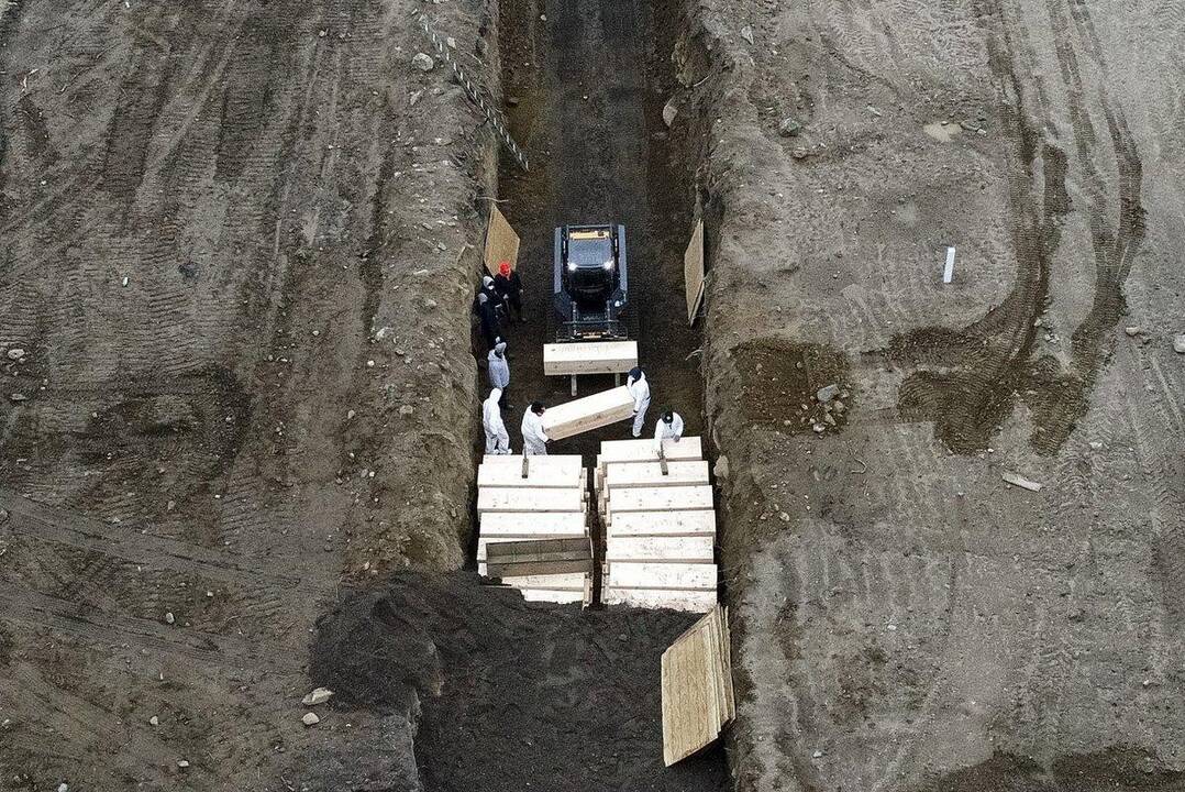 Koronavirusas JAV: masinėje kapavietėje kasdien palaidojama po 25 žmones