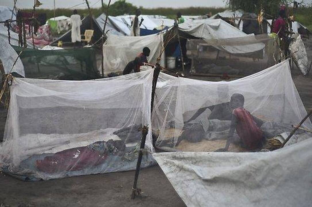 Pietų Sudano konflikto šalys darė karo nusikaltimus